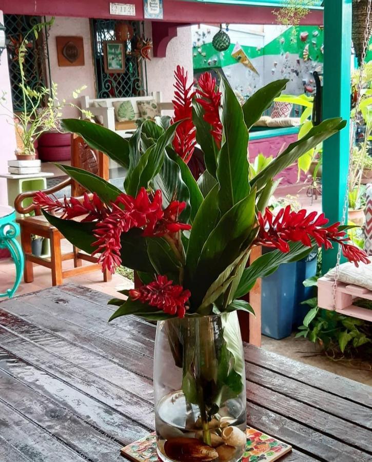 Hostal Posada 1914 Panama City Luaran gambar